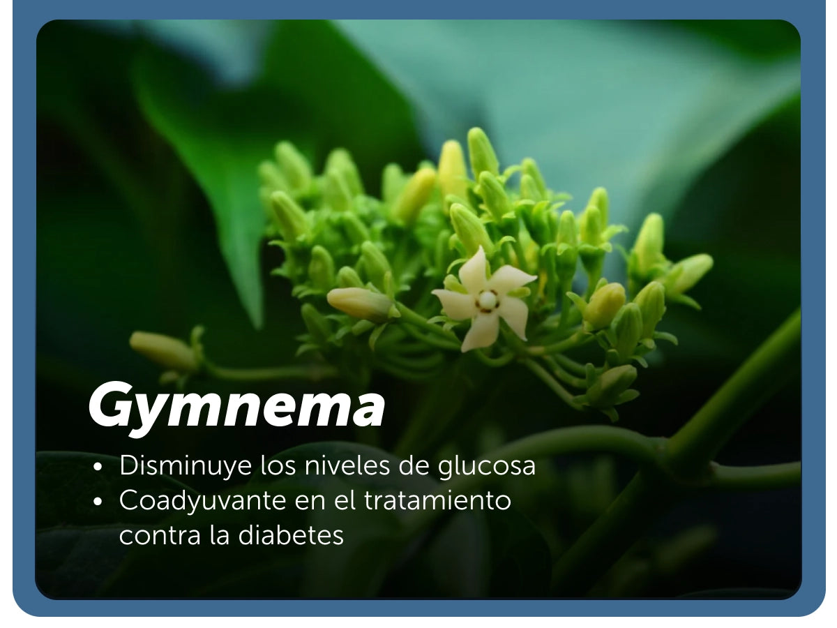 Evervital® Zuckont 45 Cápsulas Caja con 6 Piezas