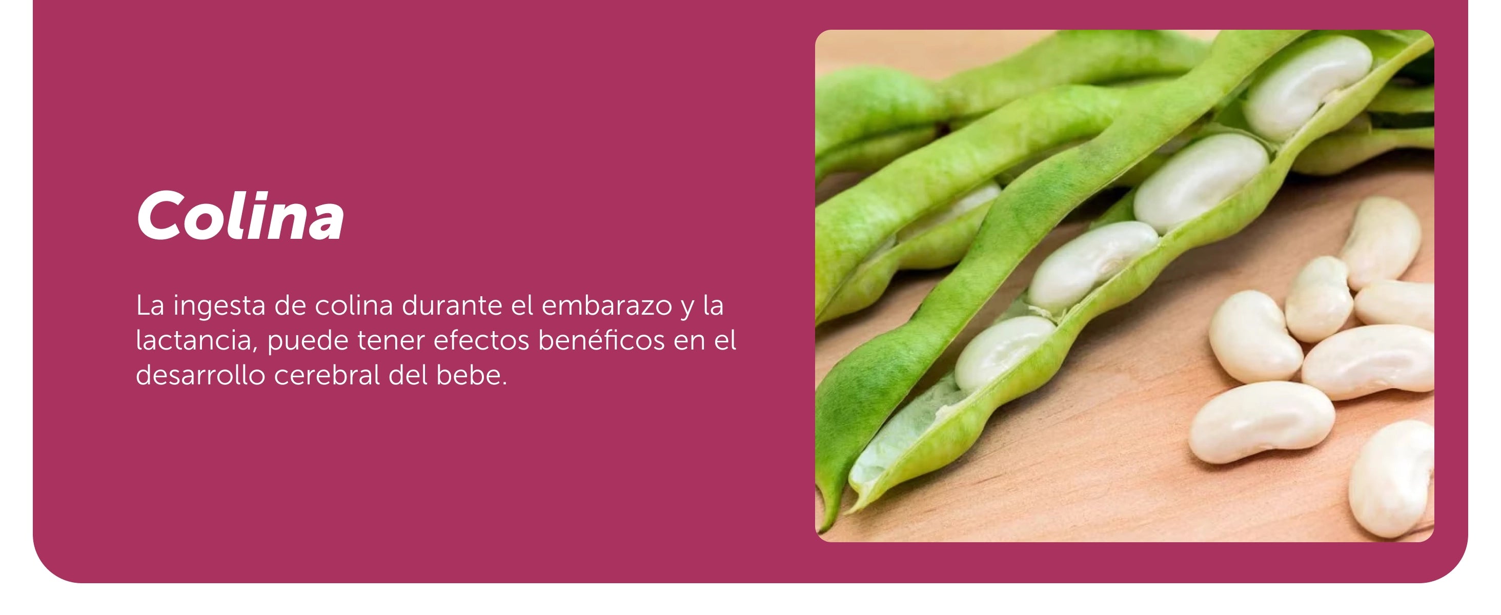 Evervital® Novoma 60 Cápsulas