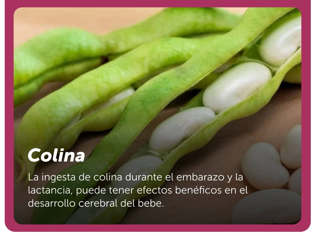 Evervital® Novoma 60 Cápsulas