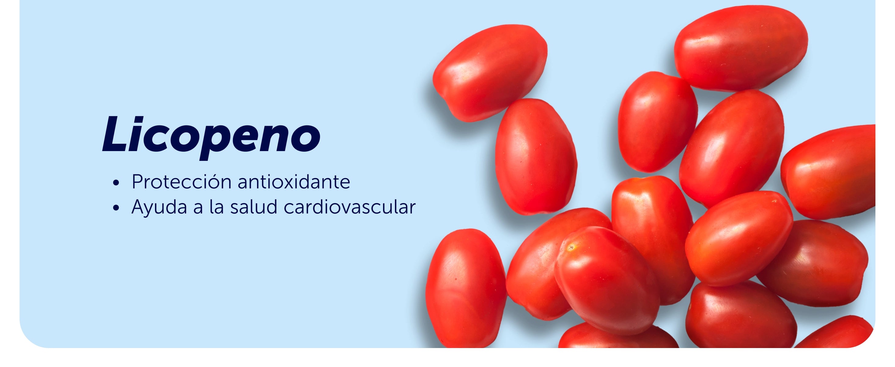 Evervital® Men 30 Cápsulas Caja con 6 piezas