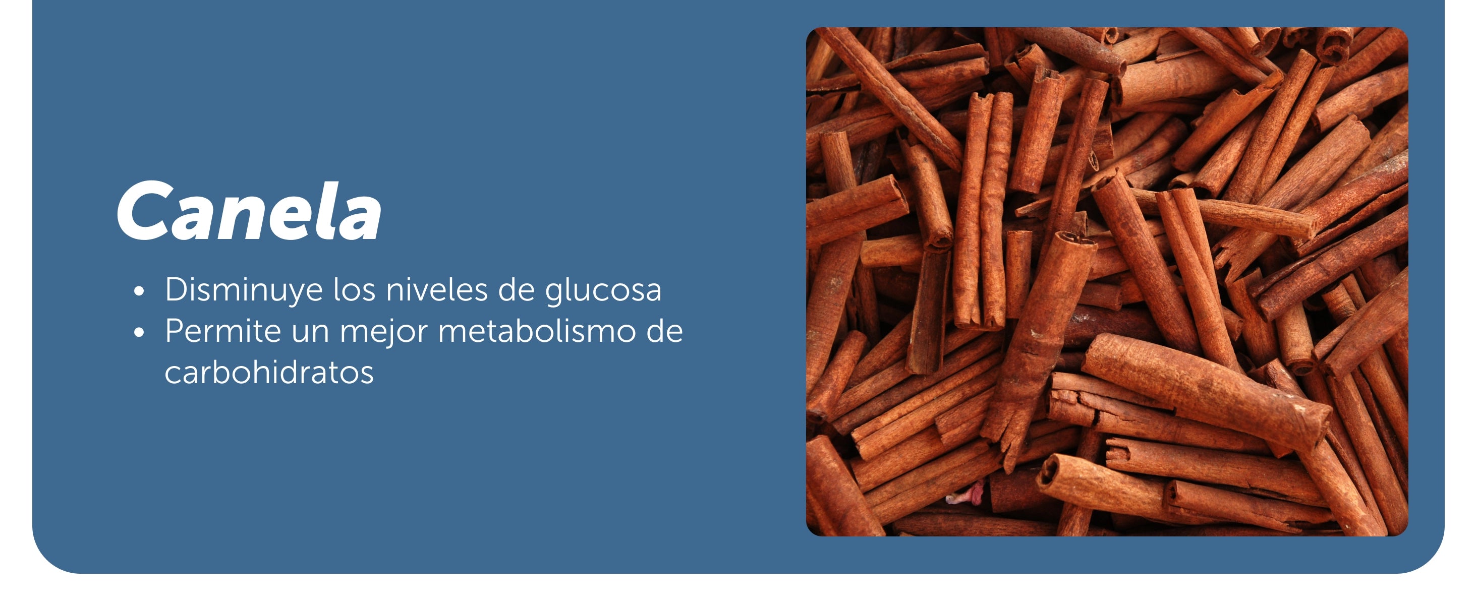 Evervital® Zuckont 45 Cápsulas Caja con 6 Piezas