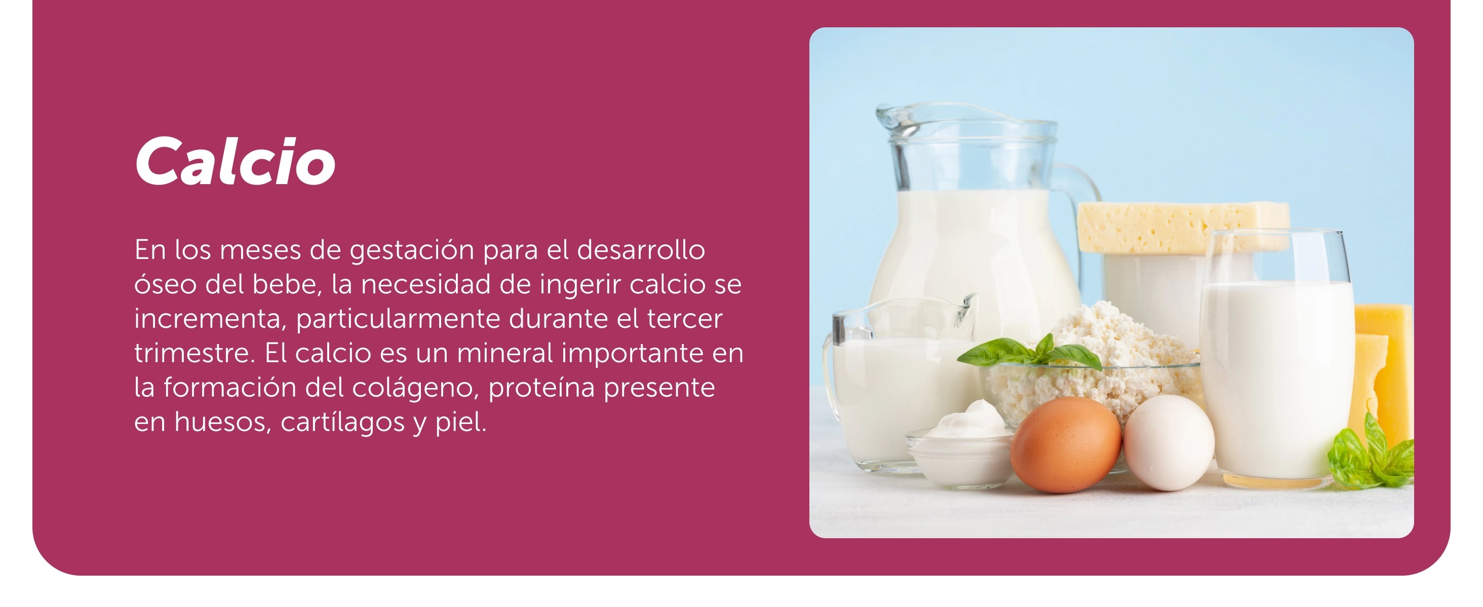 Evervital® Novoma 60 Cápsulas