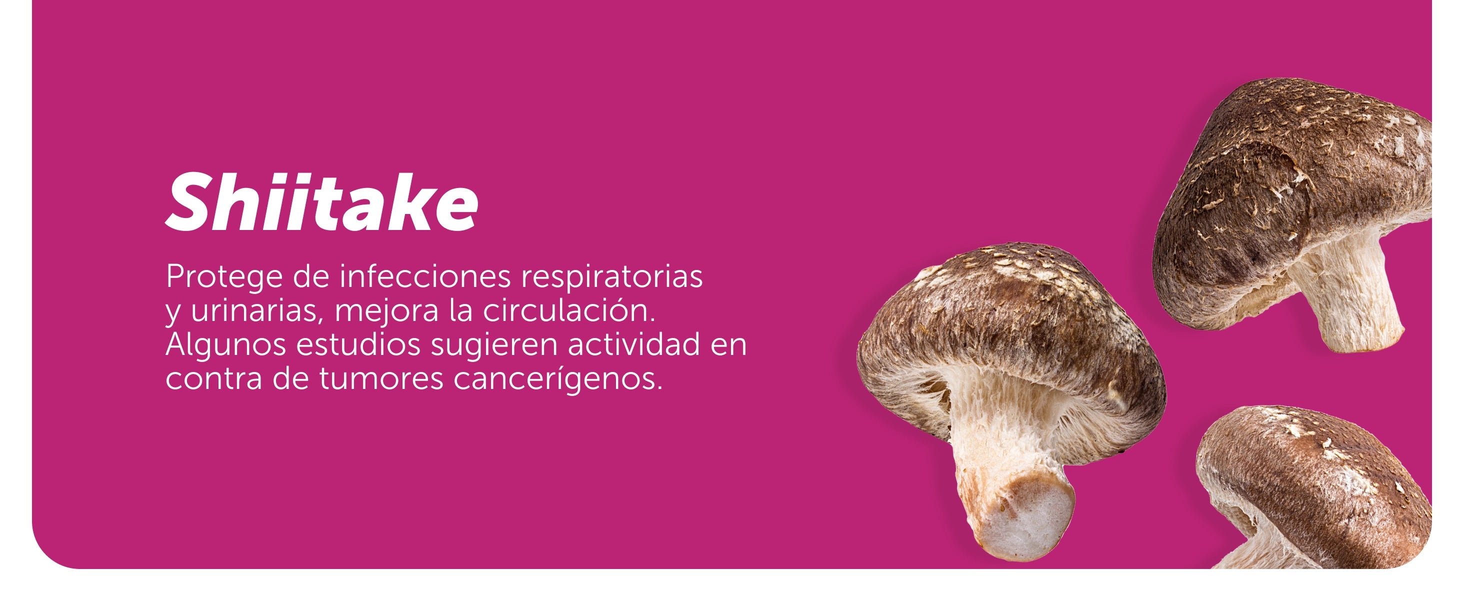 Vitalica® PINK 30 Cápsulas
