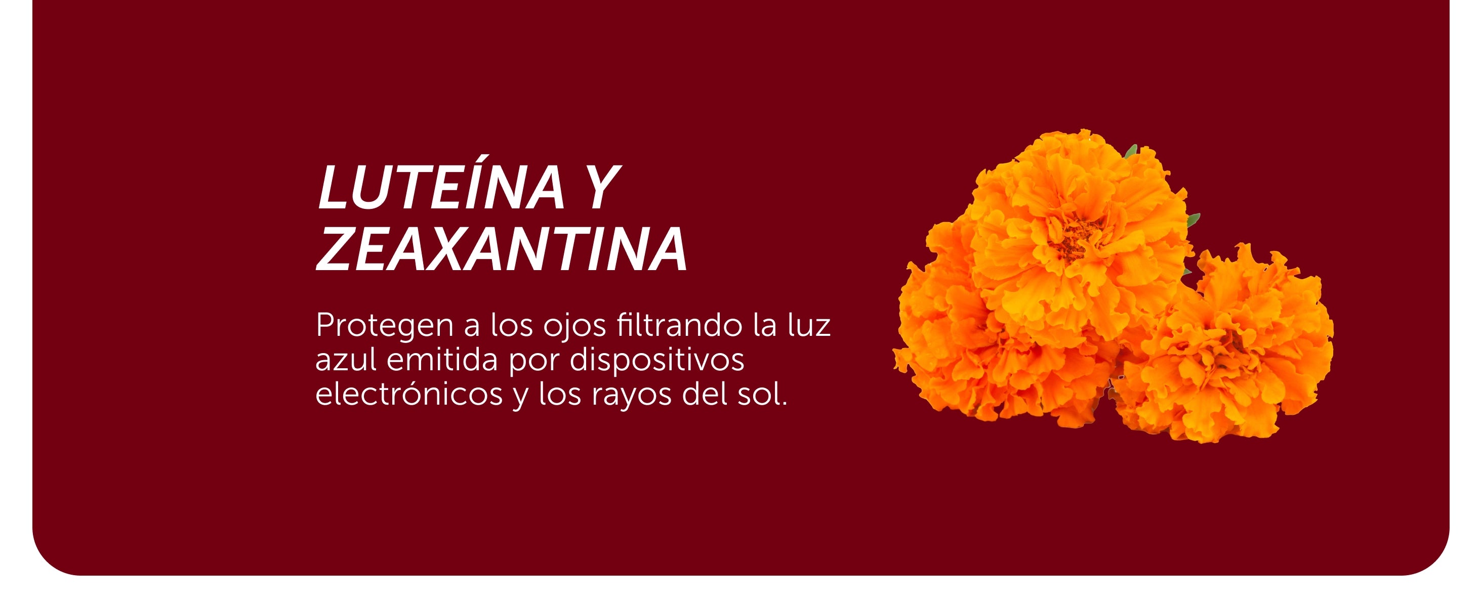 Evervital® Redntense 30 Cápsulas Caja con 6 Piezas