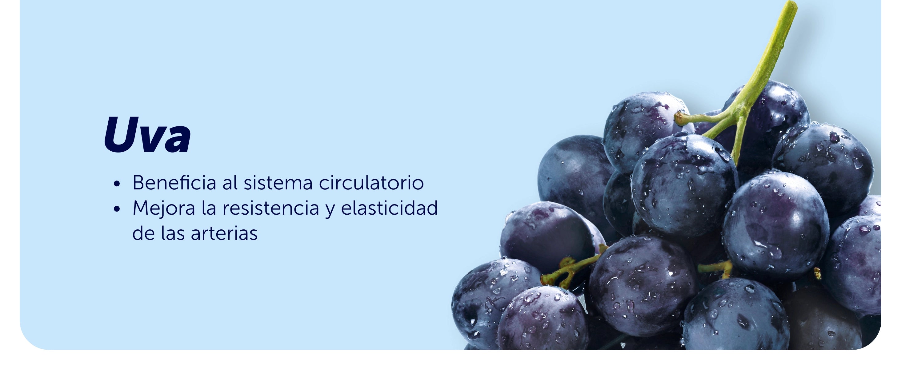 Evervital® Men 30 Cápsulas Caja con 6 piezas