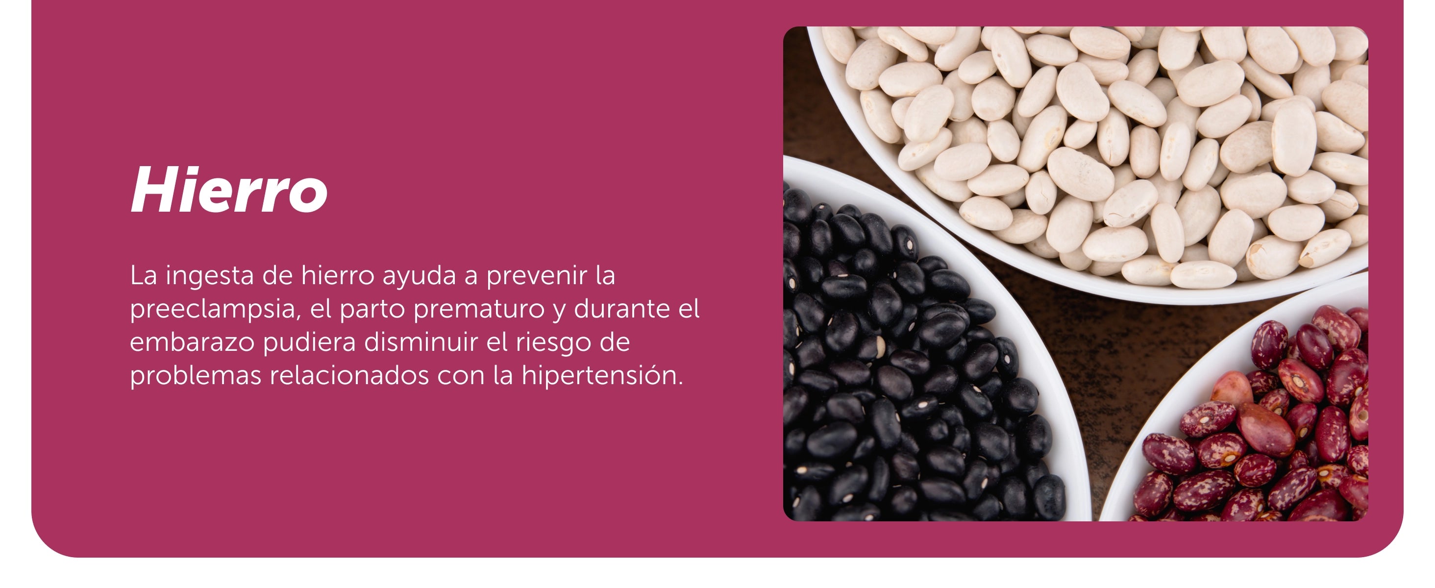 Evervital® Novoma 60 Cápsulas