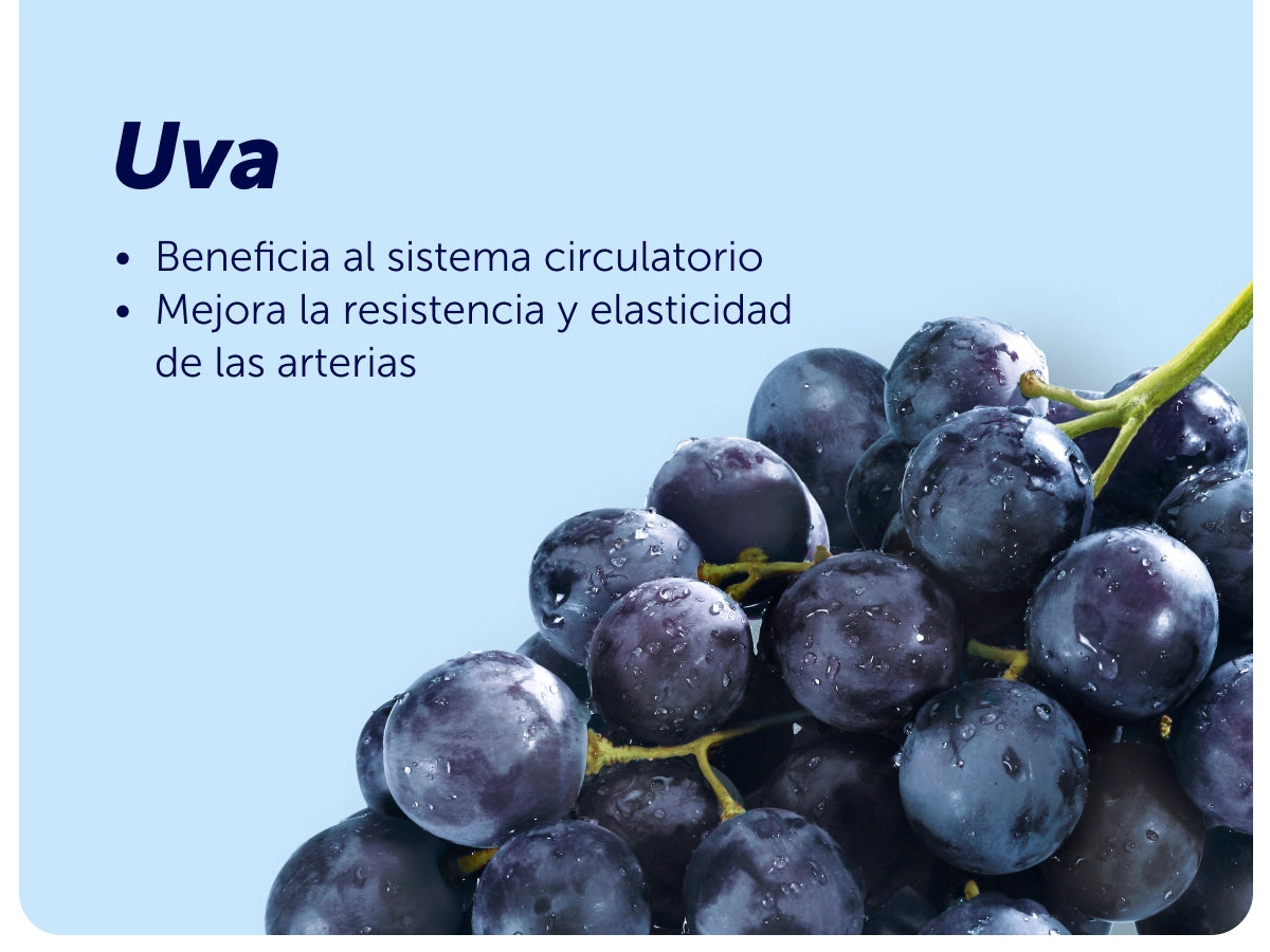 Evervital® Men 30 Cápsulas Caja con 6 piezas