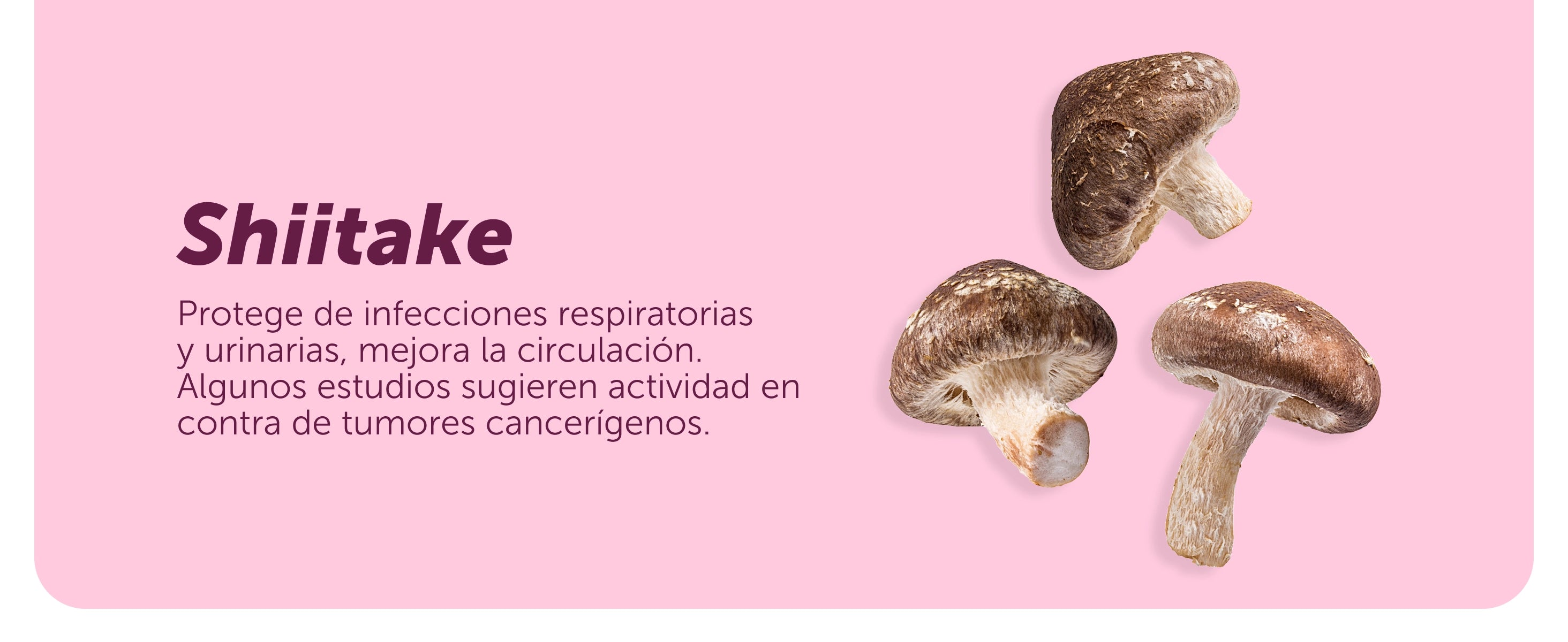 Evervital® Women 60 Cápsulas