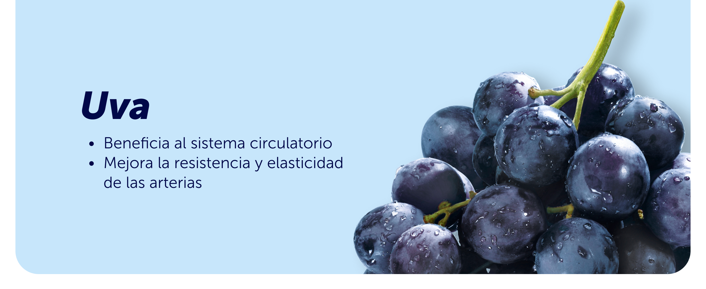Evervital® Men 30 Cápsulas Caja con 6 piezas