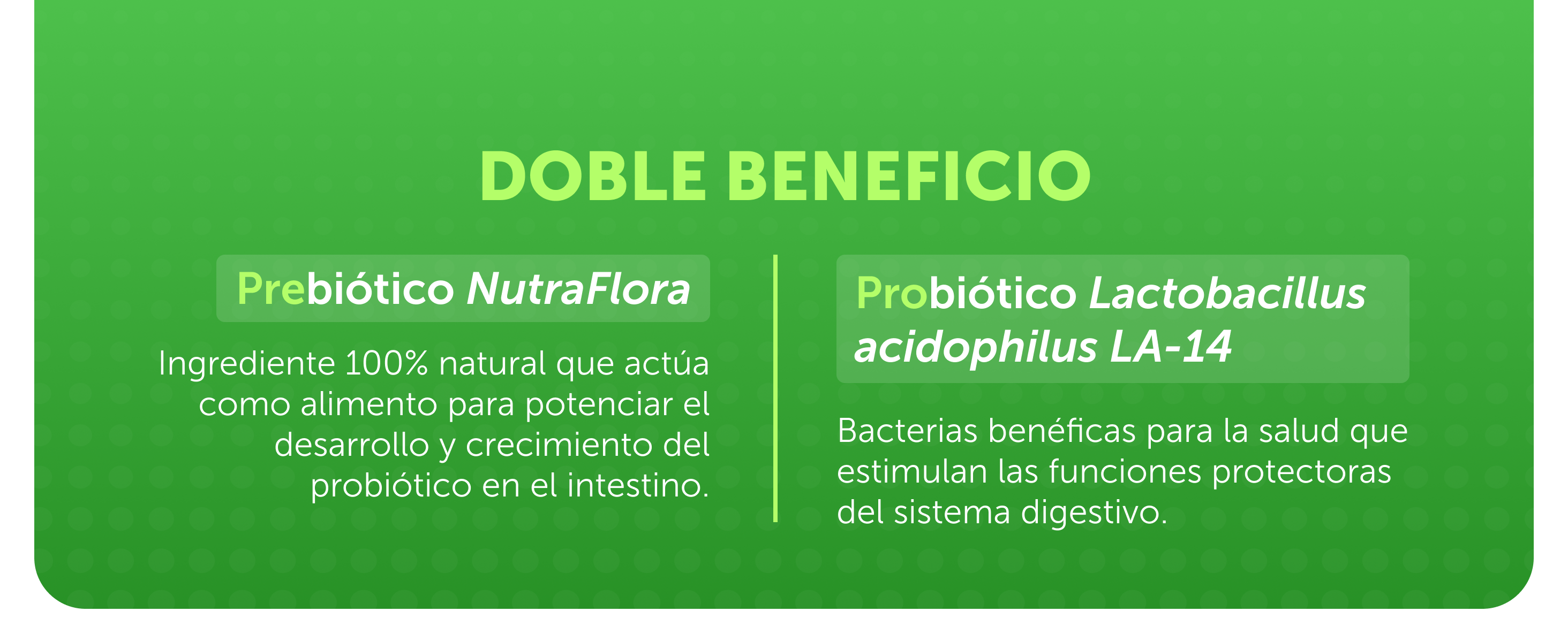 Probvioptal® 15 Cápsulas