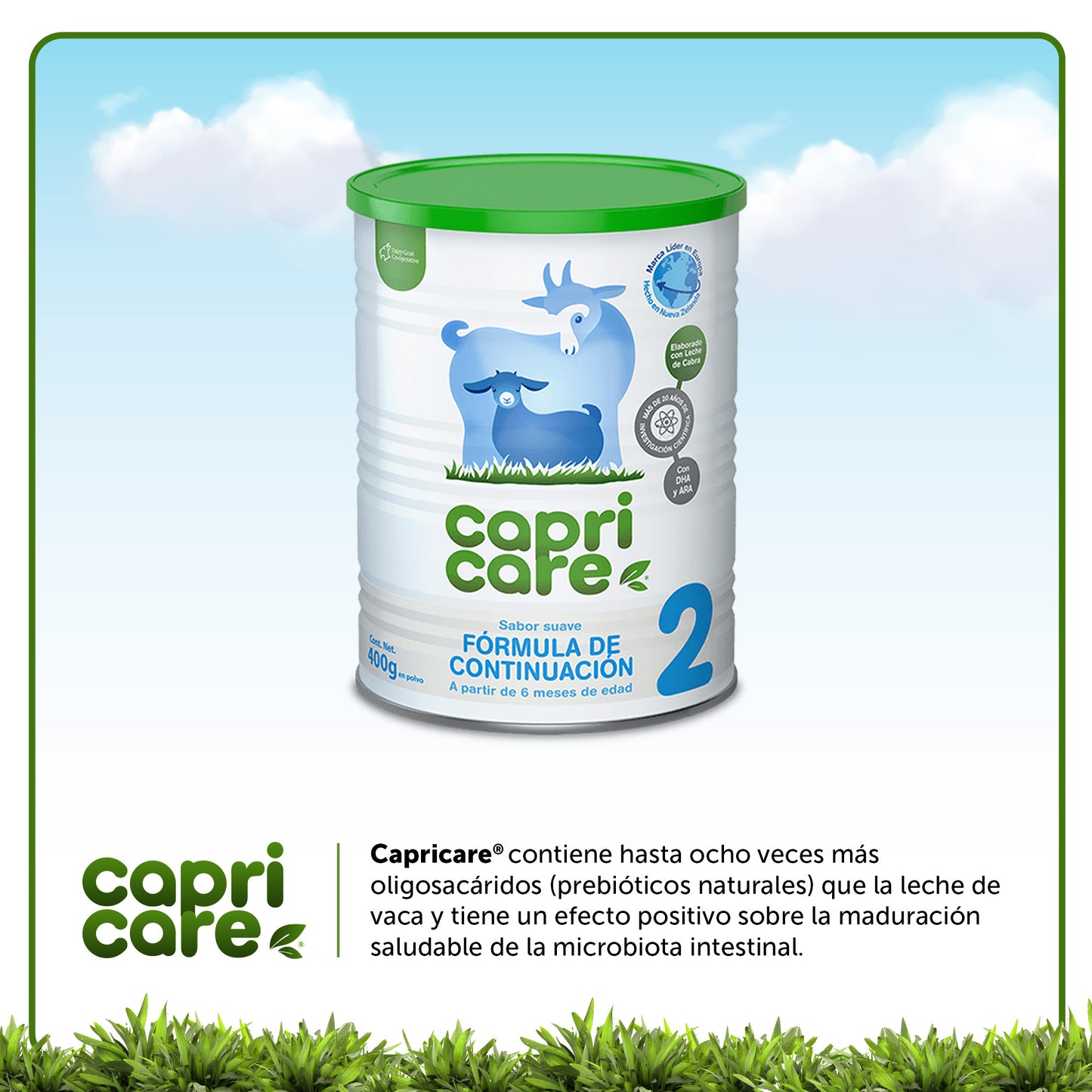 Capricare Etapa 2 - Formula de Continuación