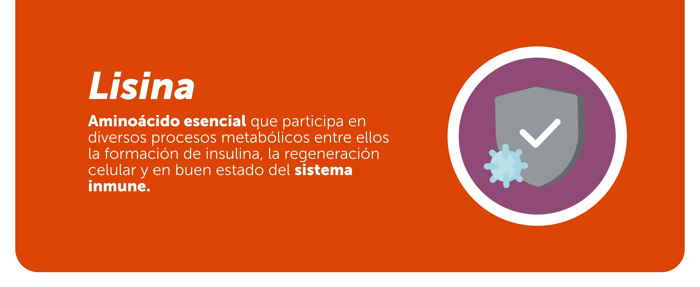 Vitalica® KIDS 250ml Caja con 6 Piezas