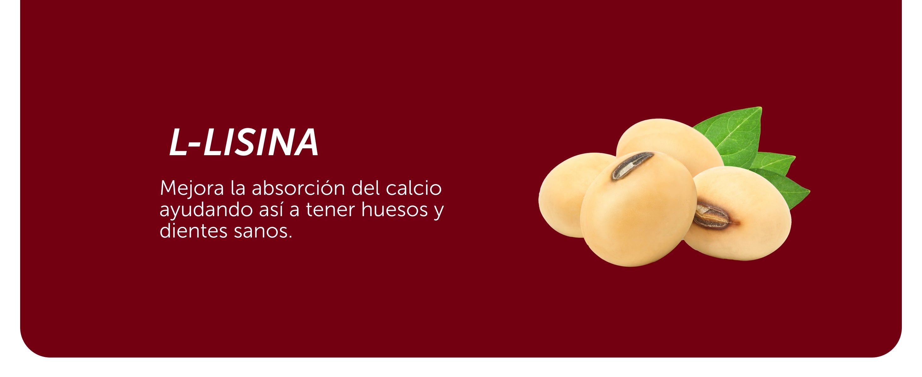 Evervital® Redntense 90 Cápsulas