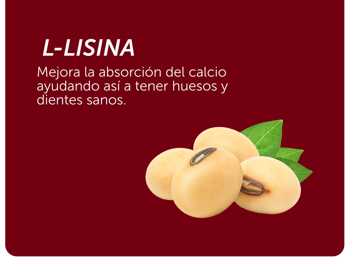 Evervital® Redntense 90 Cápsulas