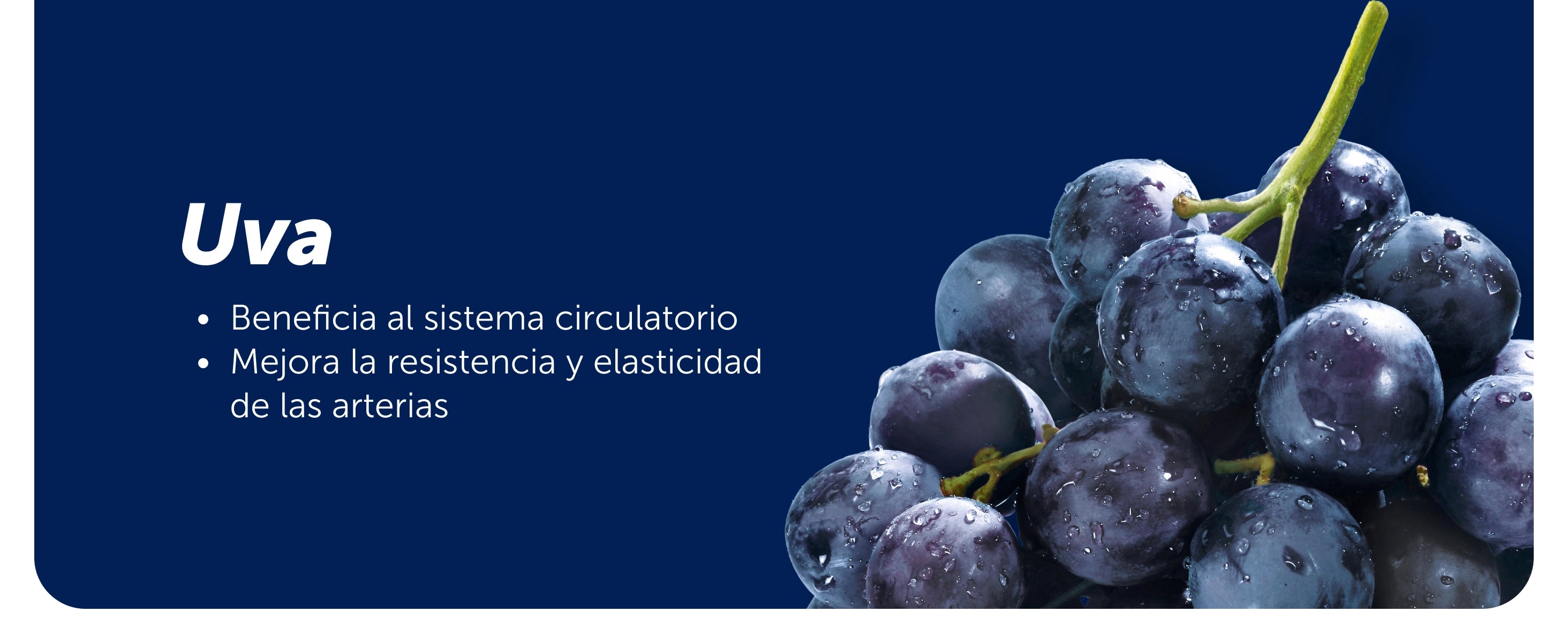 Vitalica® Blue 30 Cápsulas