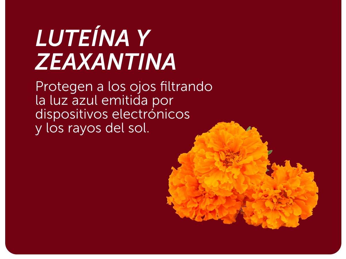 Evervital® Redntense 90 Cápsulas