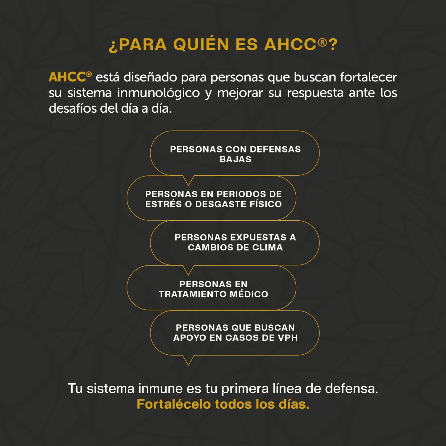 Evervital Lifestyle - AHCC® 60 Cápsulas