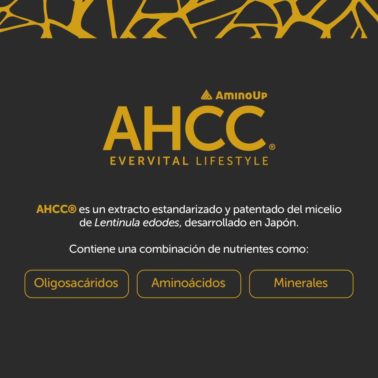 Evervital Lifestyle - AHCC® 60 Cápsulas