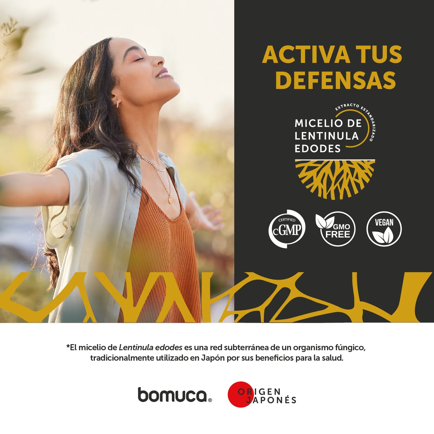 Evervital Lifestyle - AHCC® 60 Cápsulas