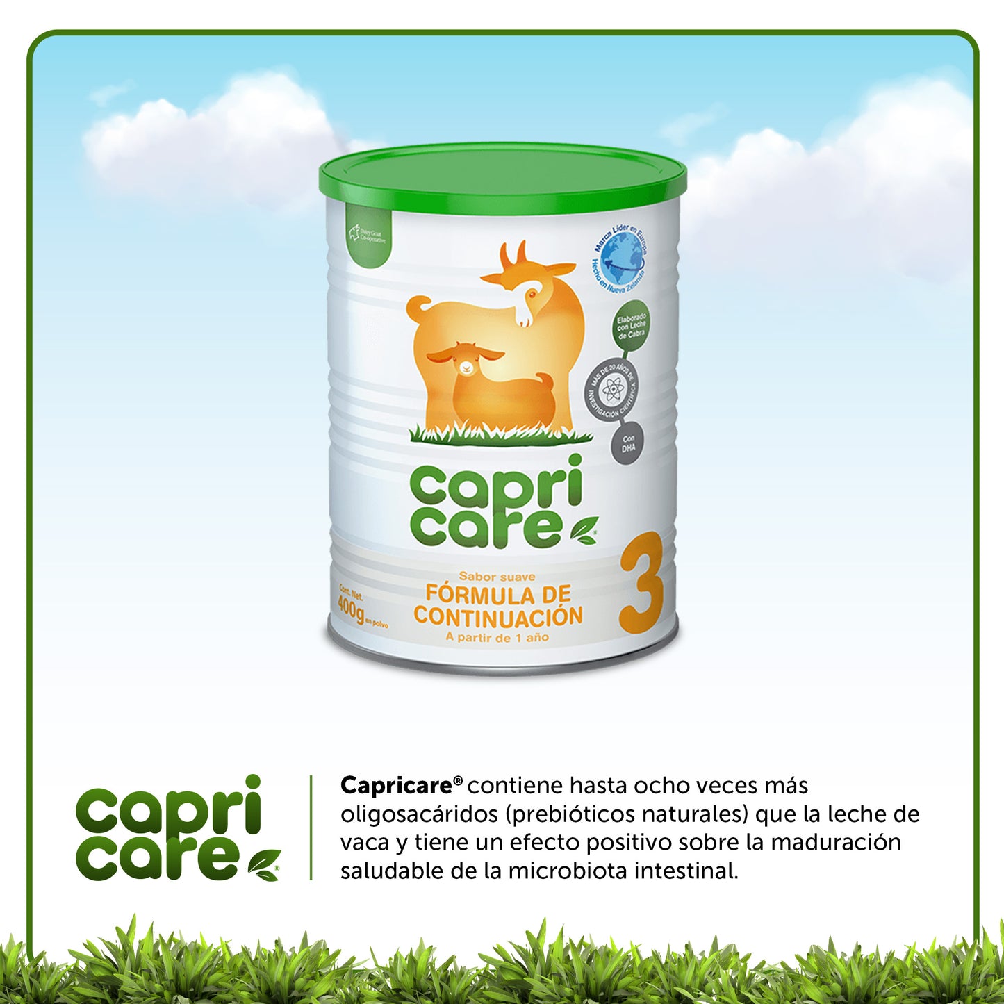 Capricare Etapa 3 - Formula de Continuación