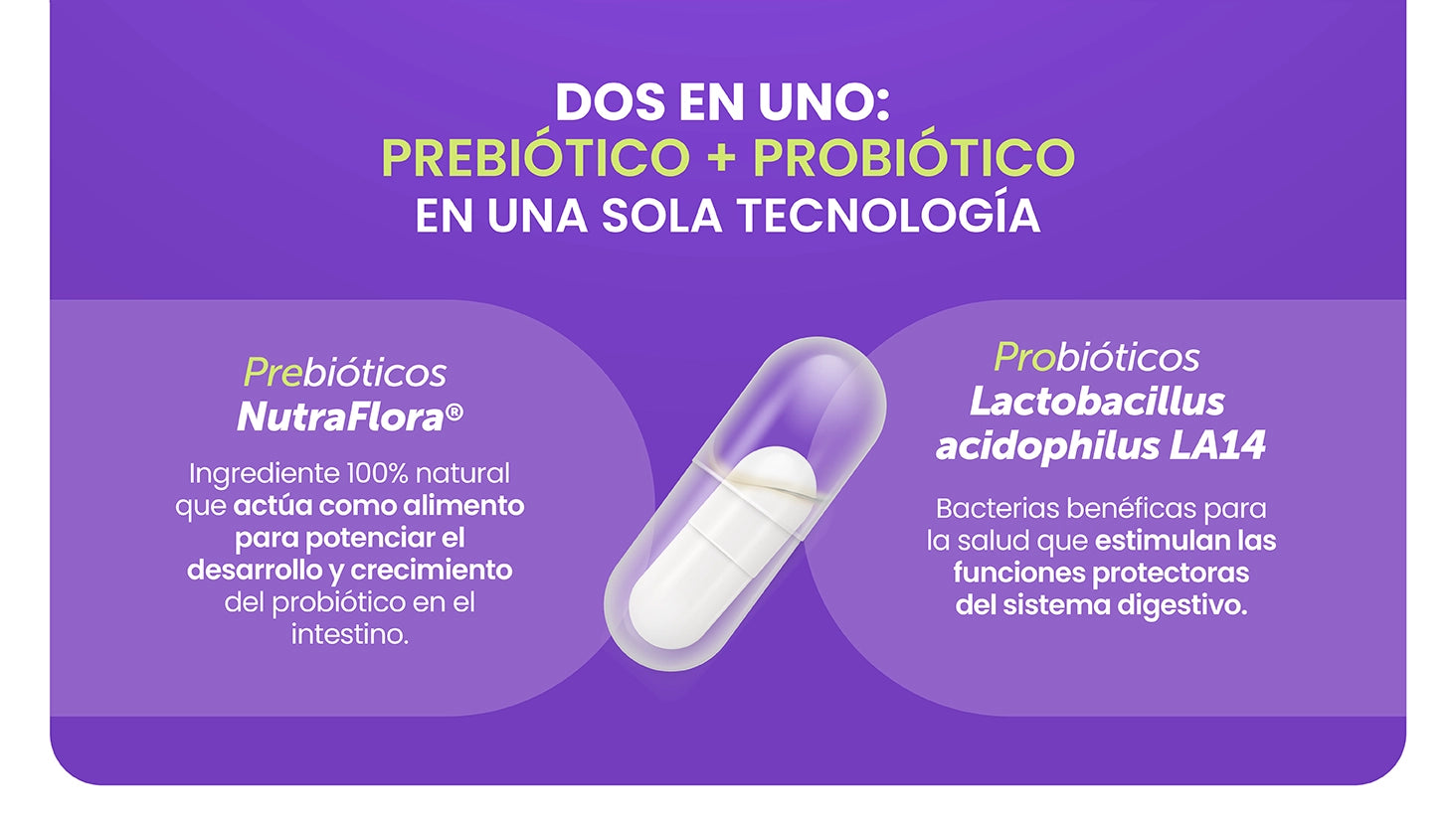 Probvioptal® 60 Cápsulas Charola con 24 piezas | Probiótico + Prebiótico